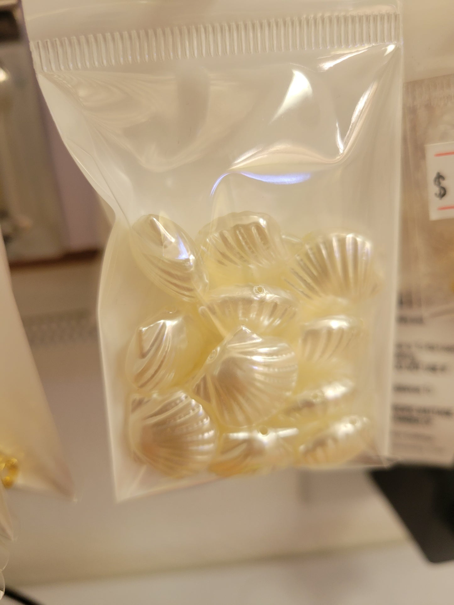 Concha Imitación Perla (12pzs)