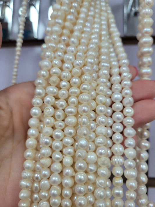 Perla 6mm