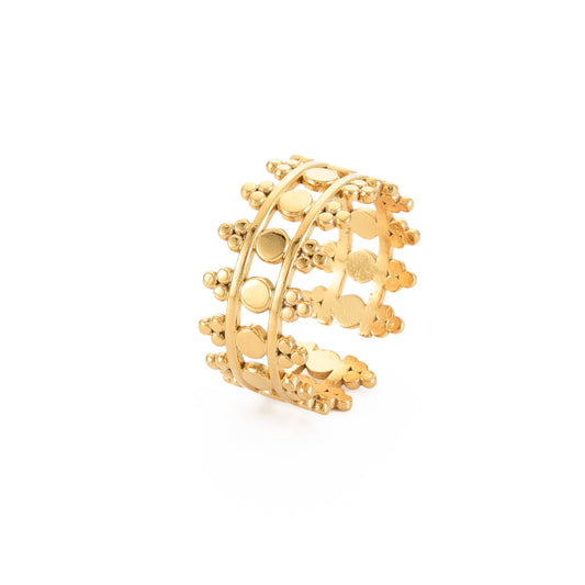 Anillo Puntas