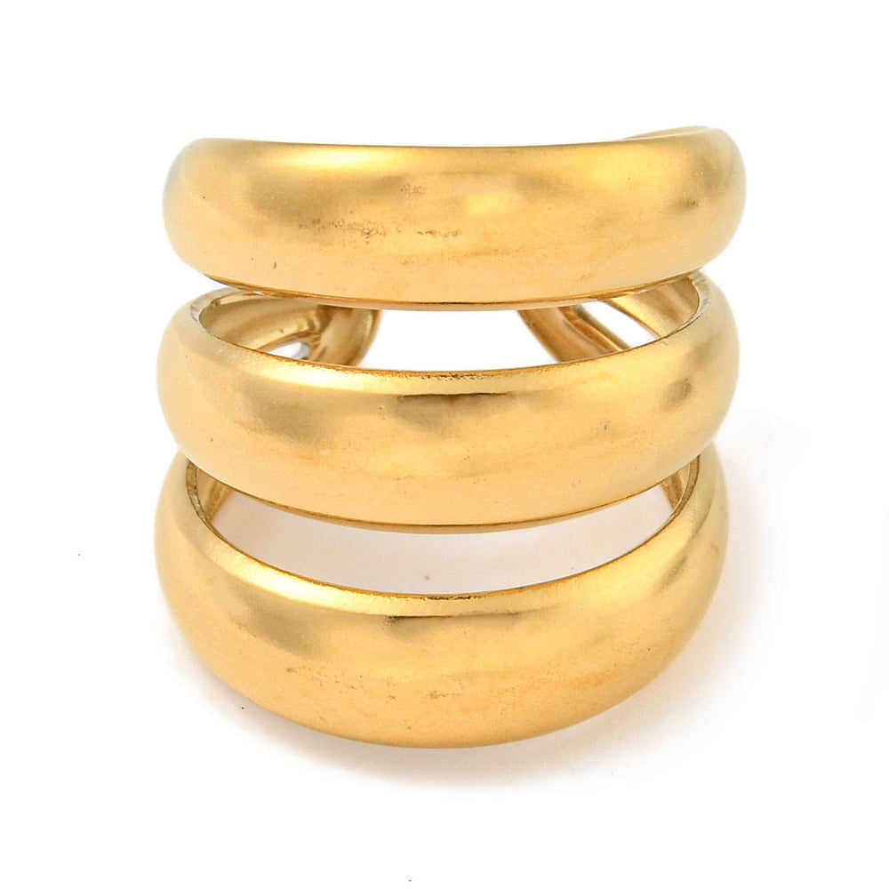 Anillo Oruga