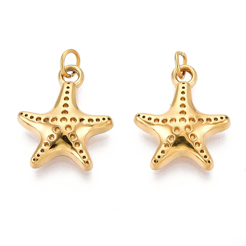 Estrella de Mar Pequeña