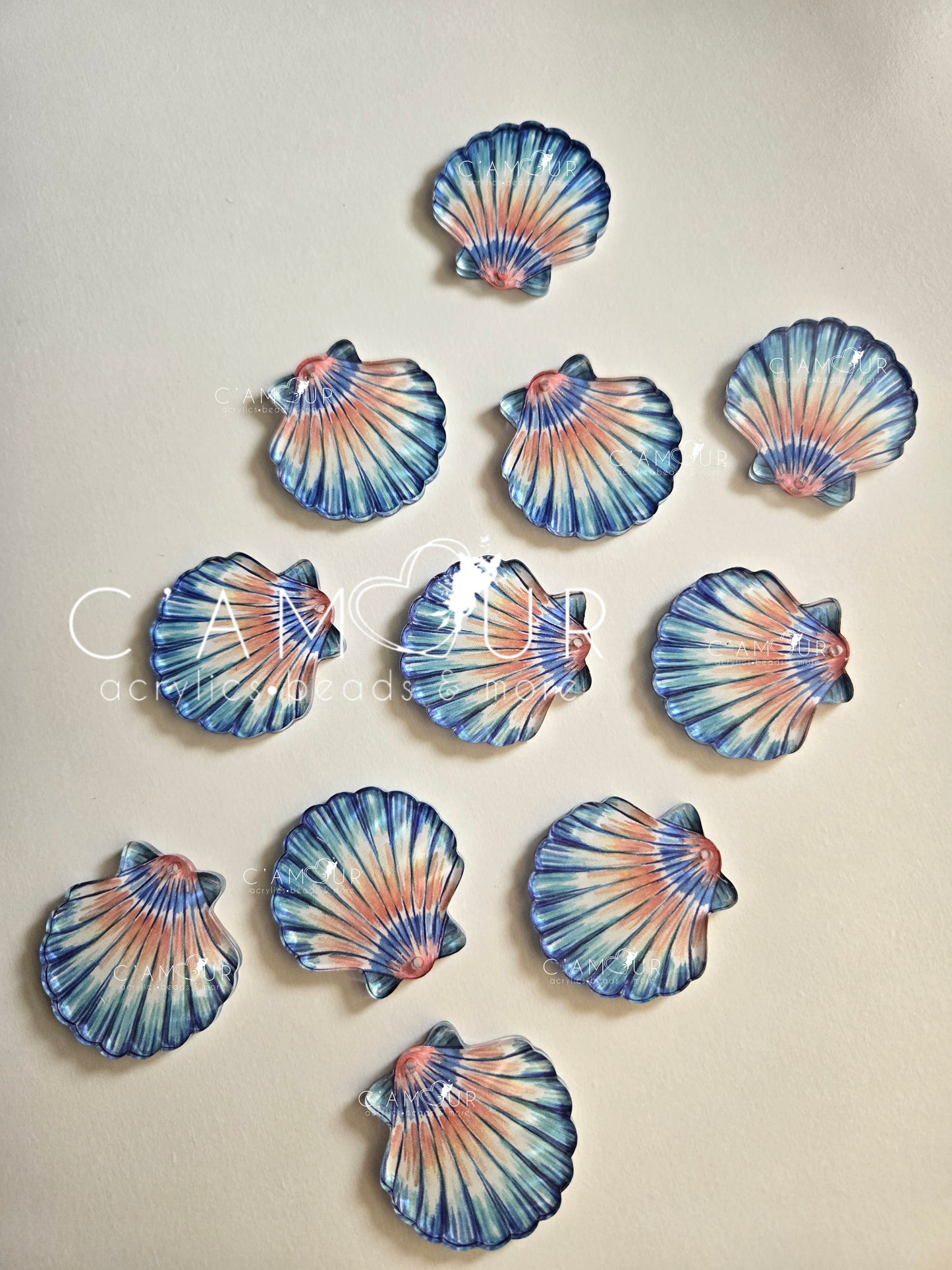 Concha Color Azul